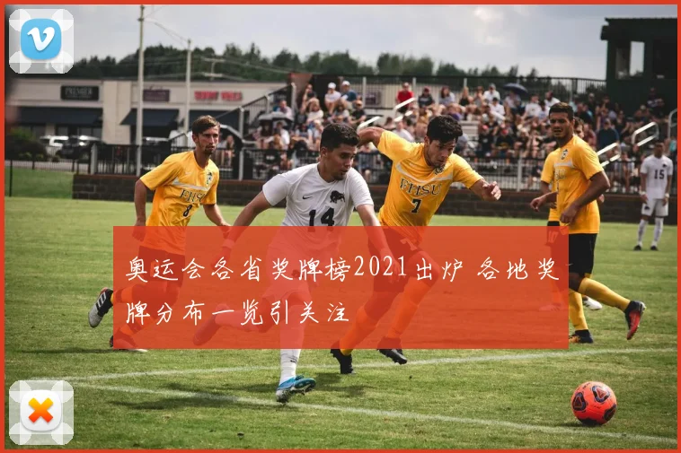 奥运会各省奖牌榜2021出炉 各地奖牌分布一览引关注