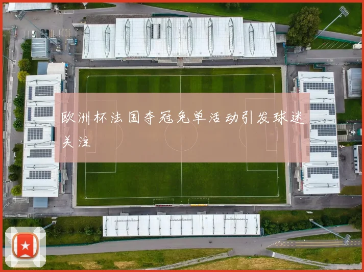 欧洲杯法国夺冠免单活动引发球迷关注