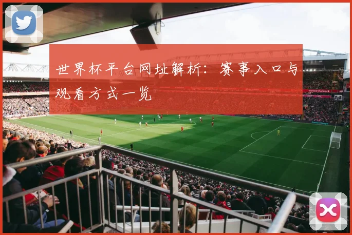 世界杯平台网址解析：赛事入口与观看方式一览
