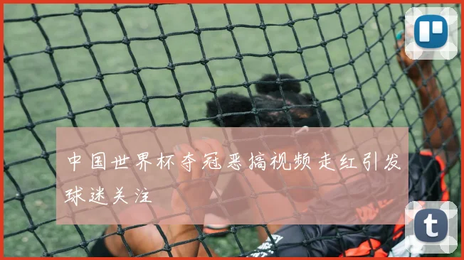 中国世界杯夺冠恶搞视频走红引发球迷关注