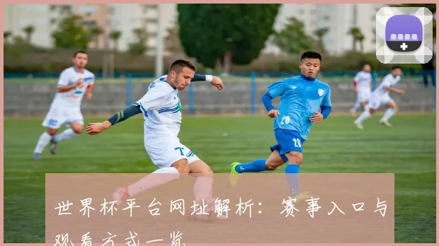 世界杯平台网址解析：赛事入口与观看方式一览