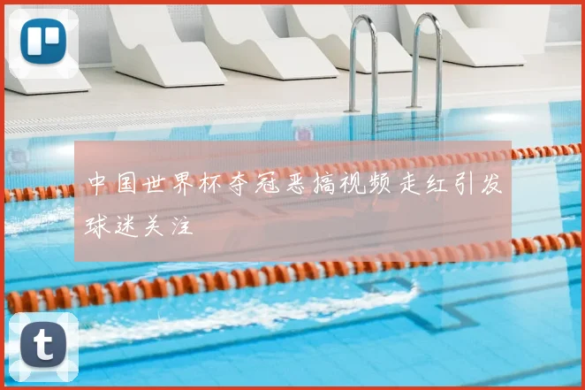 中国世界杯夺冠恶搞视频走红引发球迷关注
